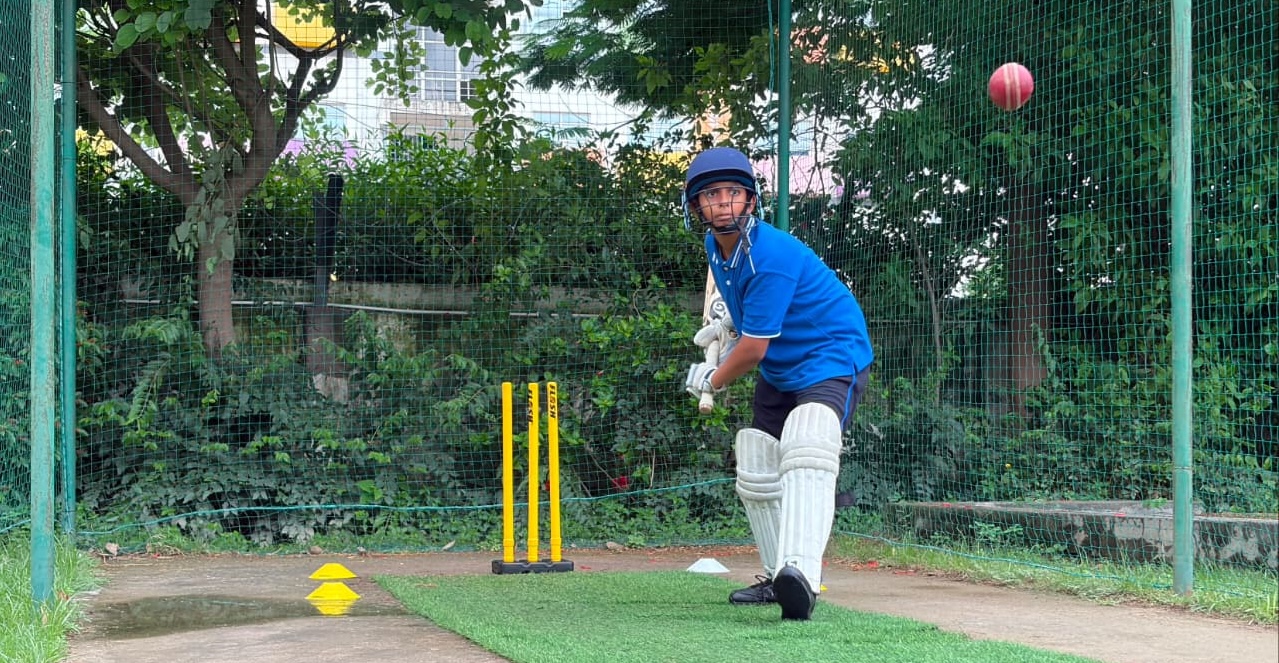 Cricket Pitch